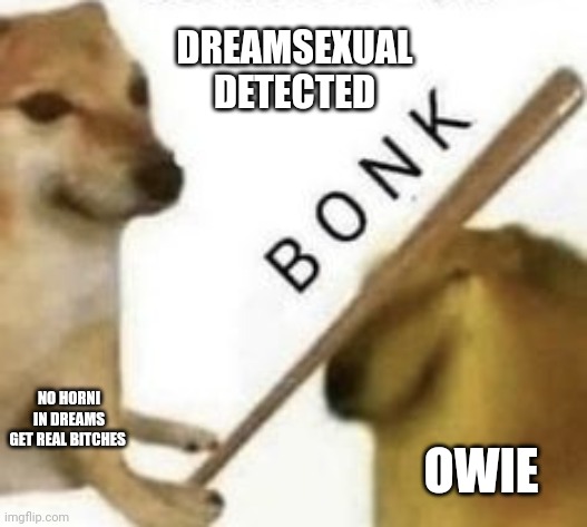 Bonk | DREAMSEXUAL DETECTED; NO HORNI IN DREAMS
GET REAL BITCHES; OWIE | image tagged in bonk | made w/ Imgflip meme maker