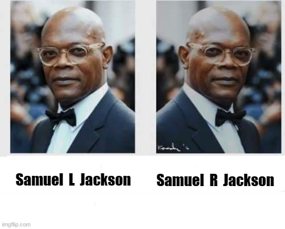 Samuel L Jackson | Samuel  R  Jackson; Samuel  L  Jackson | image tagged in samuel l jackson | made w/ Imgflip meme maker