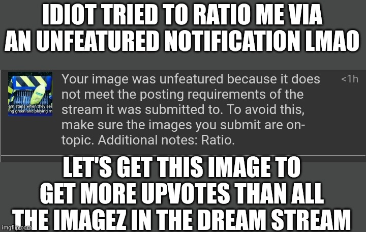 Do it so he can know who he's ratioing | IDIOT TRIED TO RATIO ME VIA AN UNFEATURED NOTIFICATION LMAO; LET'S GET THIS IMAGE TO GET MORE UPVOTES THAN ALL THE IMAGEZ IN THE DREAM STREAM | made w/ Imgflip meme maker