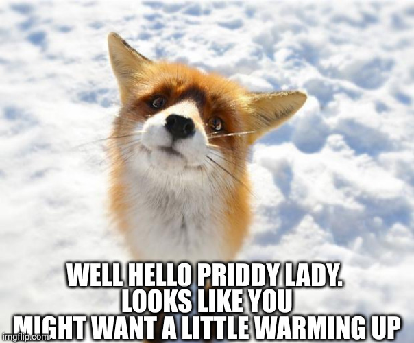 What Does The Fox Say? | WELL HELLO PRIDDY LADY. 
LOOKS LIKE YOU MIGHT WANT A LITTLE WARMING UP | image tagged in what does the fox say | made w/ Imgflip meme maker