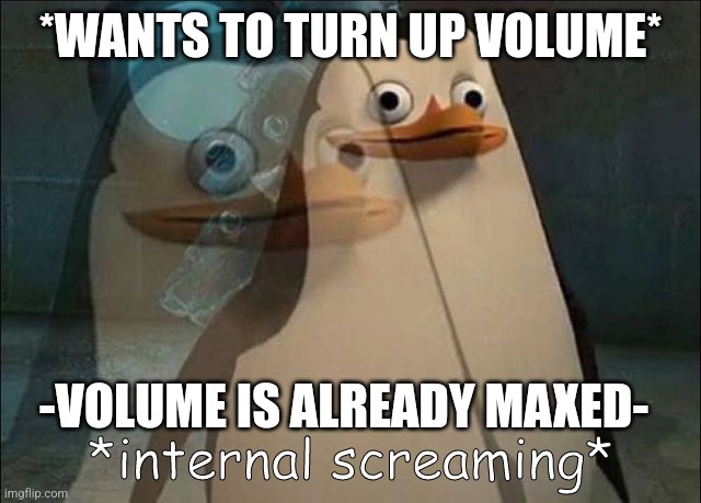 Those moments... | *WANTS TO TURN UP VOLUME*; -VOLUME IS ALREADY MAXED- | image tagged in private internal screaming | made w/ Imgflip meme maker
