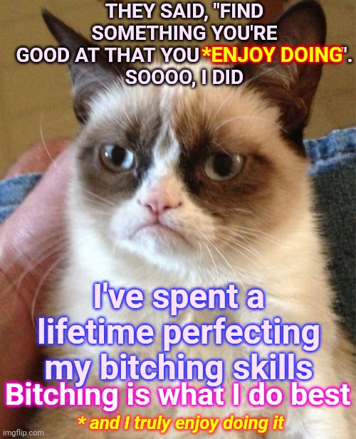 I've Got One Skill | THEY SAID, "FIND SOMETHING YOU'RE GOOD AT THAT YOU *ENJOY DOING".
SOOOO, I DID; *ENJOY DOING; I've spent a lifetime perfecting my bitching skills; Bitching is what I do best; * and I truly enjoy doing it | image tagged in memes,grumpy cat,skills,skill,bitching,complainers | made w/ Imgflip meme maker