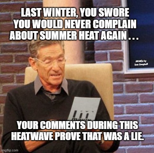 Maury Lie Detector |  LAST WINTER, YOU SWORE YOU WOULD NEVER COMPLAIN ABOUT SUMMER HEAT AGAIN . . . MEMEs by Dan Campbell; YOUR COMMENTS DURING THIS HEATWAVE PROVE THAT WAS A LIE. | image tagged in memes,maury lie detector | made w/ Imgflip meme maker