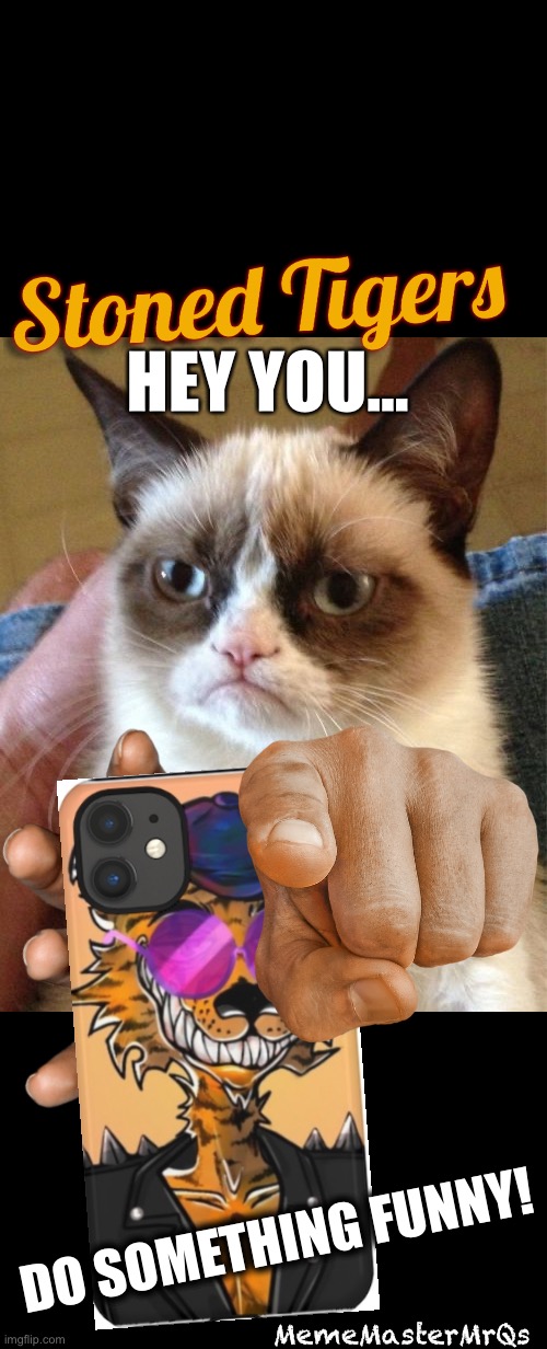 Grumpy Cat, Stoned Tiger | HEY YOU…; DO SOMETHING FUNNY! MemeMasterMrQs | image tagged in memes,grumpy cat,tiger | made w/ Imgflip meme maker