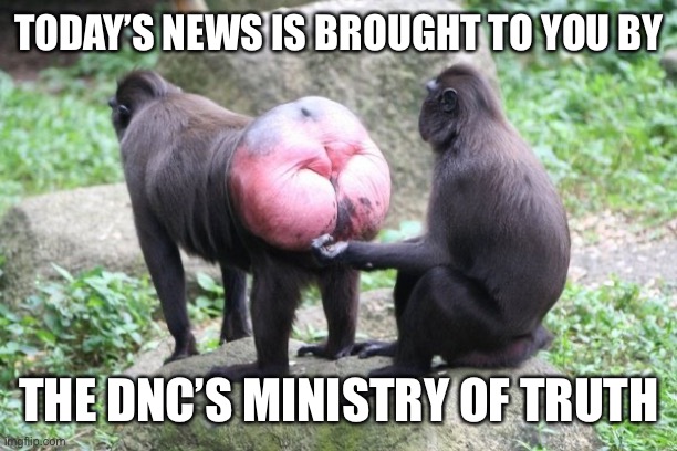 Propaganda never sleeps | TODAY’S NEWS IS BROUGHT TO YOU BY; THE DNC’S MINISTRY OF TRUTH | image tagged in politicstoo,funny,memes | made w/ Imgflip meme maker