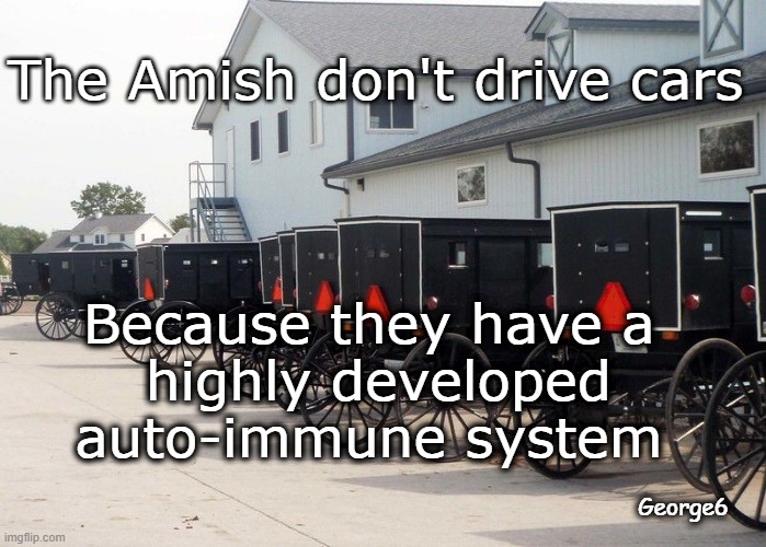 auto-immune | The Amish don't drive cars; Because they have a
 highly developed
auto-immune system; George6 | image tagged in amish,funny memes | made w/ Imgflip meme maker