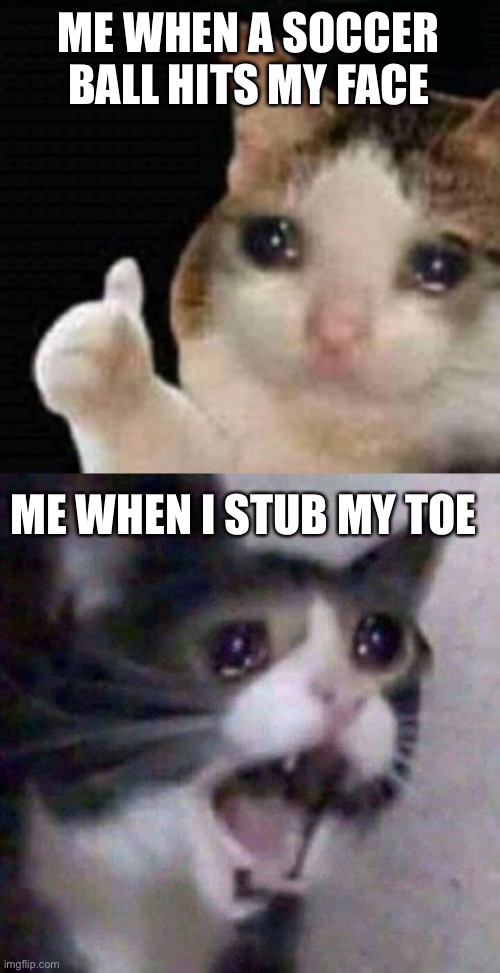 All I feel is pain | ME WHEN A SOCCER BALL HITS MY FACE; ME WHEN I STUB MY TOE | image tagged in sad thumbs up cat,screaming cat meme,toes,ouch | made w/ Imgflip meme maker