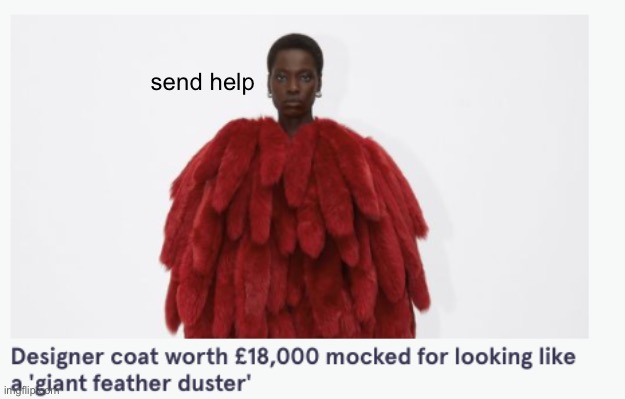 Feather Duster Coat | send help | image tagged in feather duster coat | made w/ Imgflip meme maker