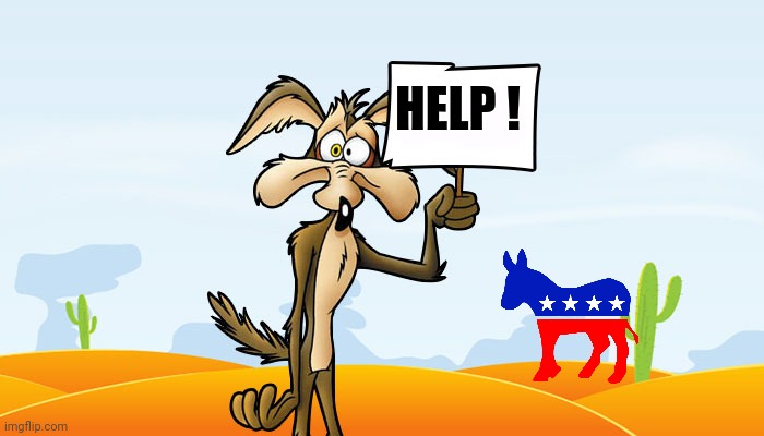 Wile E. Coyote Sign | HELP ! | image tagged in wile e coyote sign | made w/ Imgflip meme maker