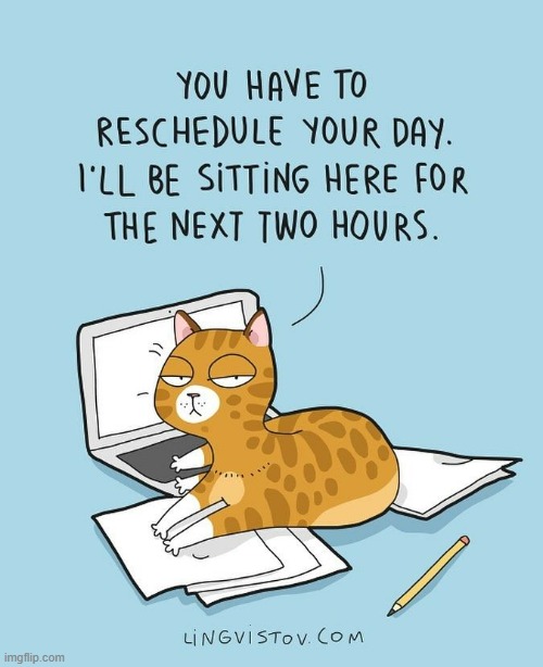 A Cat's Way Of Thinking | image tagged in memes,comics,cats,laptop,change,plans | made w/ Imgflip meme maker