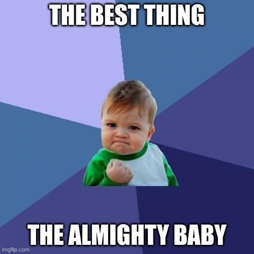 succses is here | THE BEST THING; THE ALMIGHTY BABY | image tagged in memes,success kid | made w/ Imgflip meme maker