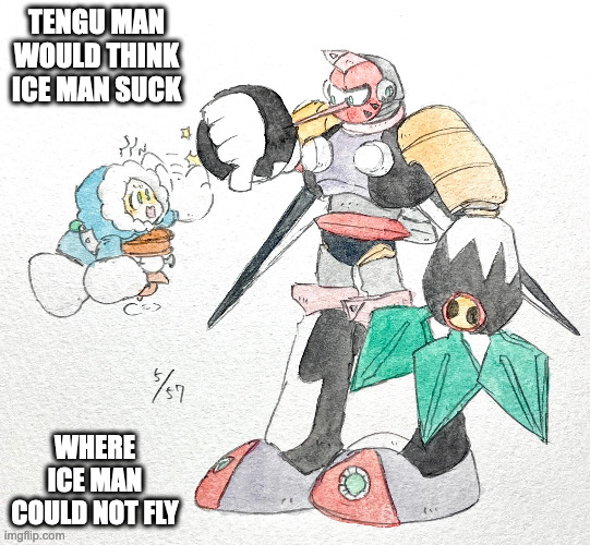 Ice Man and Tengu Man | TENGU MAN WOULD THINK ICE MAN SUCK; WHERE ICE MAN COULD NOT FLY | image tagged in iceman,tenguman,memes,megaman | made w/ Imgflip meme maker