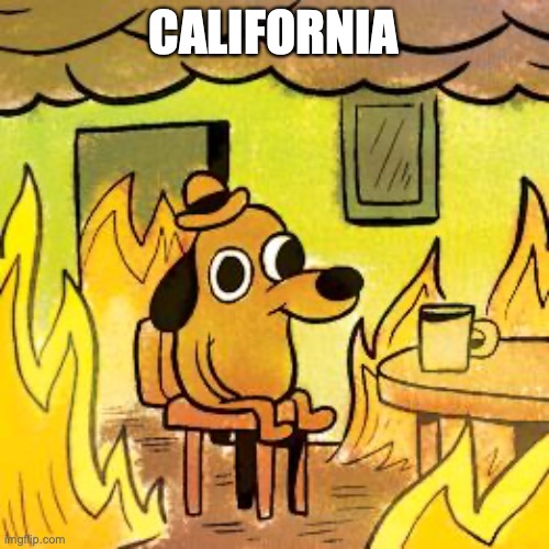 Dog in burning house | CALIFORNIA | image tagged in dog in burning house | made w/ Imgflip meme maker