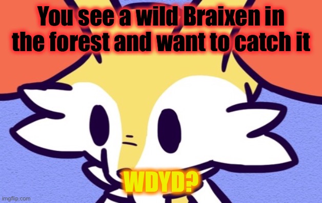 No too OP characters | You see a wild Braixen in the forest and want to catch it; WDYD? | image tagged in roleplay,pokemon,yeee,dorito,joke rp,not joke rp | made w/ Imgflip meme maker