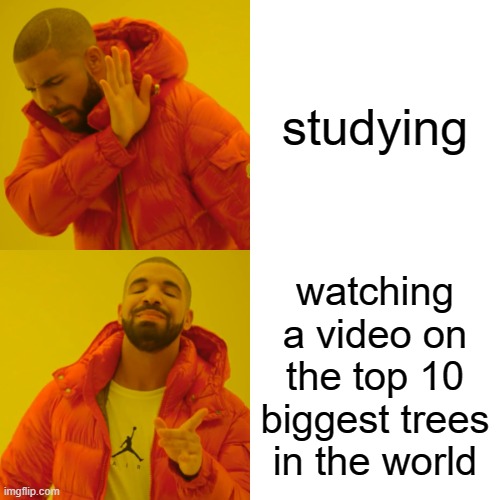 Drake Hotline Bling Meme | studying; watching a video on the top 10 biggest trees in the world | image tagged in memes,drake hotline bling | made w/ Imgflip meme maker