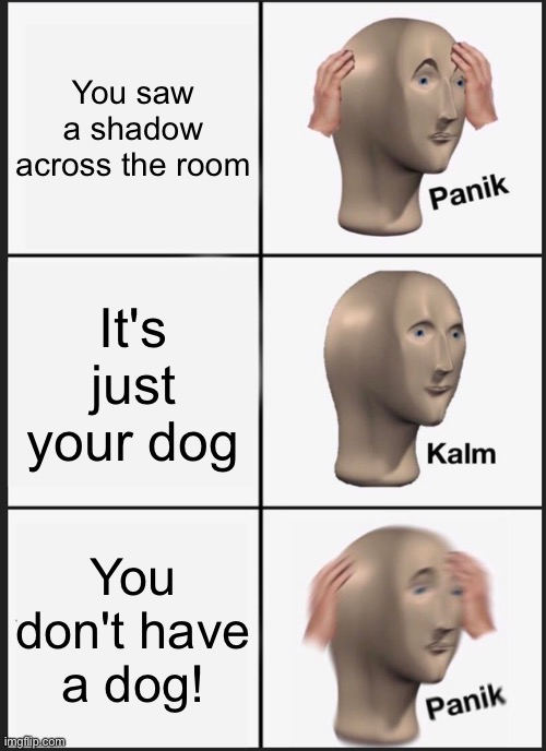 Not funni | You saw a shadow across the room; It's just your dog; You don't have a dog! | image tagged in memes,panik kalm panik | made w/ Imgflip meme maker