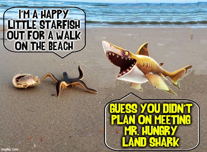 The Discovery Channel presents... Land Shark Week |  I'M A HAPPY LITTLE STARFISH OUT FOR A WALK
ON THE BEACH; GUESS YOU DIDN'T
PLAN ON MEETING
MR. HUNGRY
LAND SHARK | image tagged in vince vance,starfish,sharks,memes,land shark,nature | made w/ Imgflip meme maker