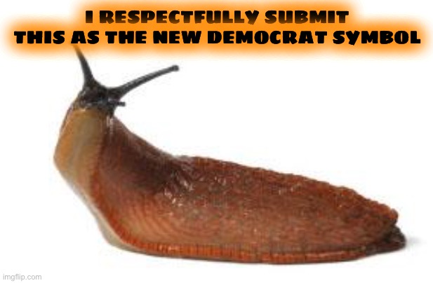slug life | I RESPECTFULLY SUBMIT THIS AS THE NEW DEMOCRAT SYMBOL | image tagged in slug life | made w/ Imgflip meme maker