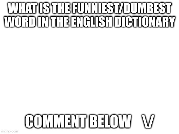 Blank White Template | WHAT IS THE FUNNIEST/DUMBEST WORD IN THE ENGLISH DICTIONARY; COMMENT BELOW    \/ | image tagged in blank white template | made w/ Imgflip meme maker