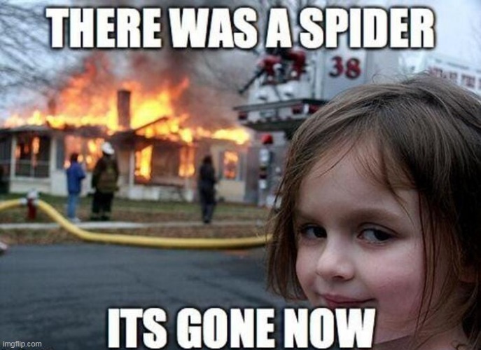 No more spiders | image tagged in memes,spiders,funny | made w/ Imgflip meme maker