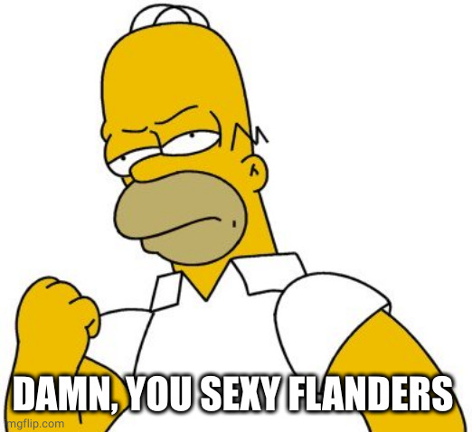 Angry homer | DAMN, YOU SEXY FLANDERS | image tagged in angry homer | made w/ Imgflip meme maker