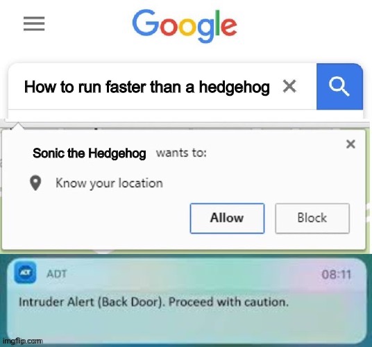 Run | How to run faster than a hedgehog; Sonic the Hedgehog | image tagged in x wants to know your location intruder alert | made w/ Imgflip meme maker
