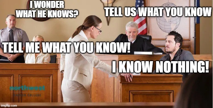 what do you know | I WONDER WHAT HE KNOWS? TELL US WHAT YOU KNOW; TELL ME WHAT YOU KNOW! I KNOW NOTHING! | image tagged in court room | made w/ Imgflip meme maker