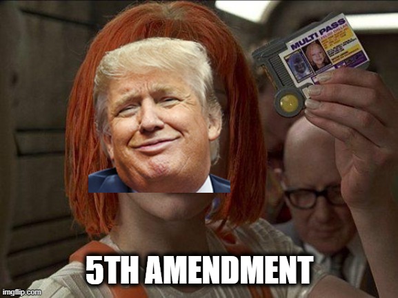 Leeloo Multipass 5th Element | 5TH AMENDMENT | image tagged in leeloo multipass 5th element,memes,lock him up,politics,criminal,law and order | made w/ Imgflip meme maker