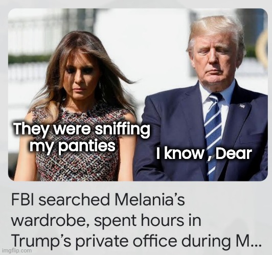 Now we know why |  I know , Dear; They were sniffing
     my panties | image tagged in why is the fbi here,panty,sniffing,perverts,i have found x,fascists | made w/ Imgflip meme maker