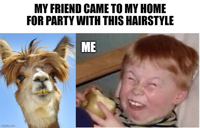 funny meme | MY FRIEND CAME TO MY HOME FOR PARTY WITH THIS HAIRSTYLE; ME | image tagged in funny | made w/ Imgflip meme maker