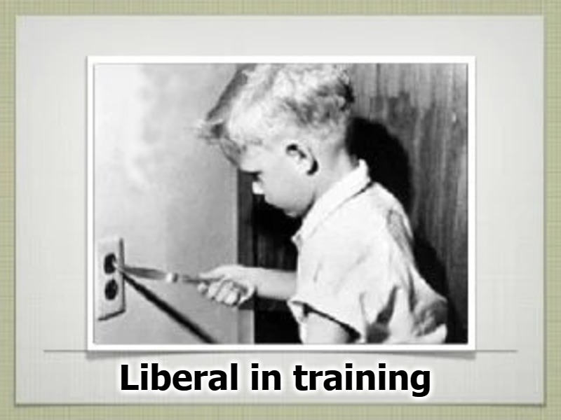 Liberal in training | Liberal in training | image tagged in stupid liberals,liberalism,words that offend liberals,special kind of stupid,stupid people | made w/ Imgflip meme maker