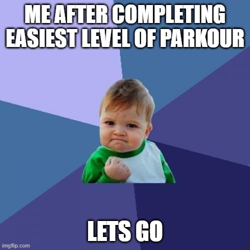 its my life | ME AFTER COMPLETING EASIEST LEVEL OF PARKOUR; LETS GO | image tagged in memes,success kid | made w/ Imgflip meme maker