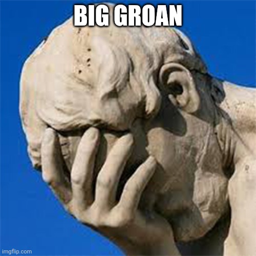 Groan Facepalm | BIG GROAN | image tagged in groan facepalm | made w/ Imgflip meme maker