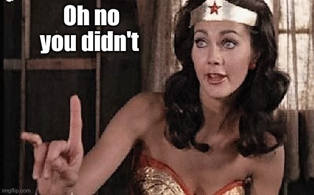 wonder woman oh no he di int | Oh no you didn't | image tagged in wonder woman oh no he di int | made w/ Imgflip meme maker