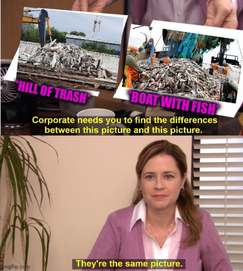-Don't play mindtrick! | *HILL OF TRASH*; *BOAT WITH FISH* | image tagged in memes,they're the same picture,totally looks like,fishing for upvotes,boat,trash can | made w/ Imgflip meme maker