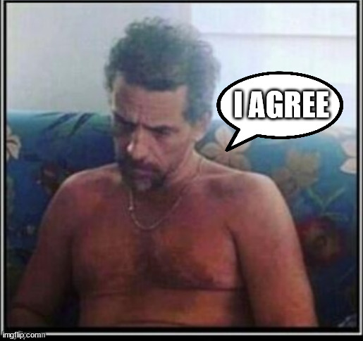 Hunter Biden crackhead morning | I AGREE | image tagged in hunter biden crackhead morning | made w/ Imgflip meme maker