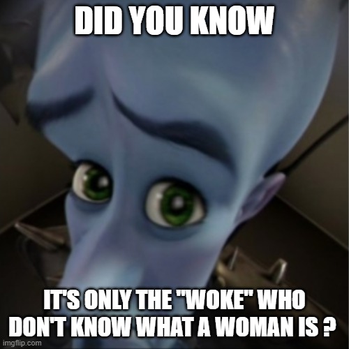Megamind peeking | DID YOU KNOW; IT'S ONLY THE "WOKE" WHO DON'T KNOW WHAT A WOMAN IS ? | image tagged in megamind peeking | made w/ Imgflip meme maker