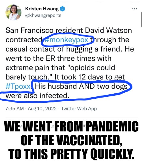 What virus are they going to release next? |  WE WENT FROM PANDEMIC OF THE VACCINATED, TO THIS PRETTY QUICKLY. | image tagged in memes,politics,monkeypox,lgbtq,new york city,san francisco | made w/ Imgflip meme maker