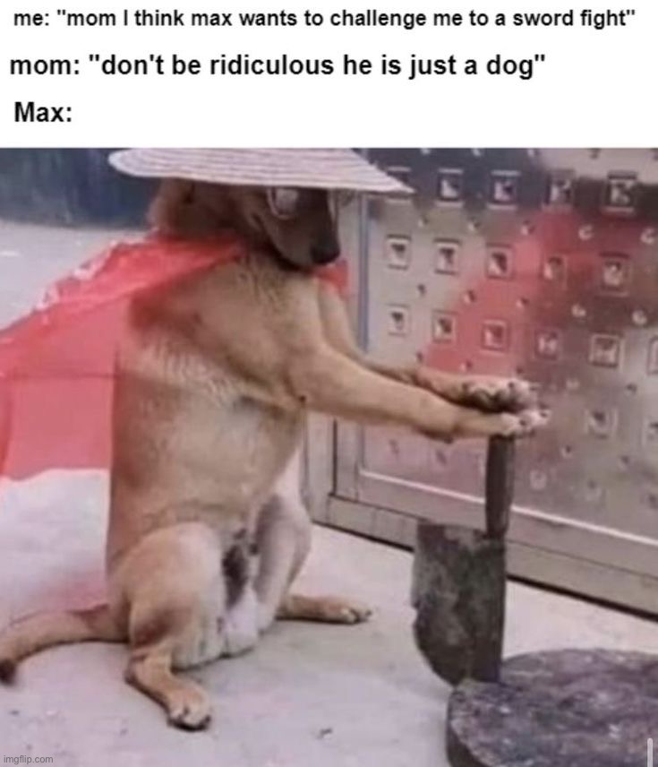 image tagged in memes,funny | made w/ Imgflip meme maker