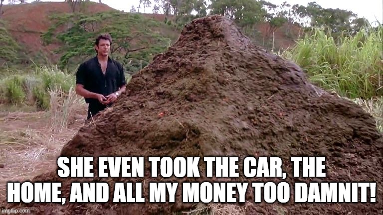 Big pile of bullshit | SHE EVEN TOOK THE CAR, THE HOME, AND ALL MY MONEY TOO DAMNIT! | image tagged in big pile of bullshit | made w/ Imgflip meme maker