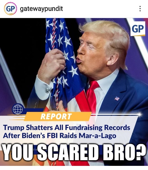 When their fear shows you love. ❤️ | YOU SCARED BRO? | image tagged in memes,politics,democrats,fbi,midterms,president trump | made w/ Imgflip meme maker