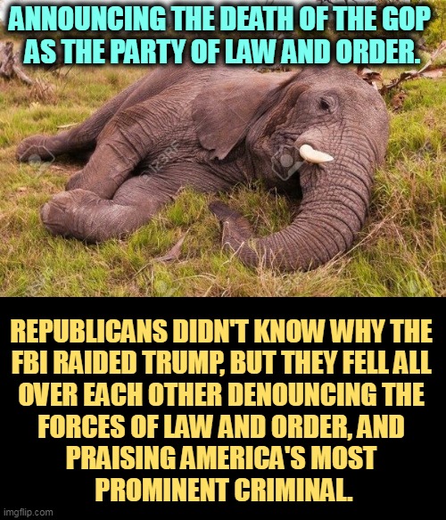 It's not a party, it's a cult. | ANNOUNCING THE DEATH OF THE GOP 
AS THE PARTY OF LAW AND ORDER. REPUBLICANS DIDN'T KNOW WHY THE 
FBI RAIDED TRUMP, BUT THEY FELL ALL 
OVER EACH OTHER DENOUNCING THE 
FORCES OF LAW AND ORDER, AND 
PRAISING AMERICA'S MOST 
PROMINENT CRIMINAL. | image tagged in republicans,hate,fbi,love,crimina,trump | made w/ Imgflip meme maker