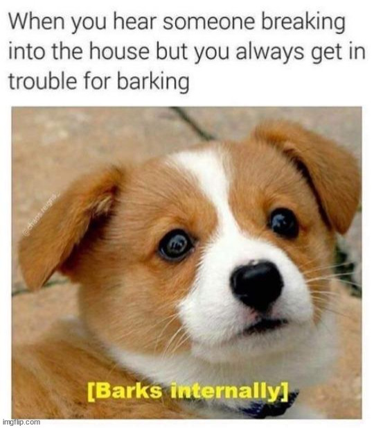 image tagged in barking,trouble | made w/ Imgflip meme maker