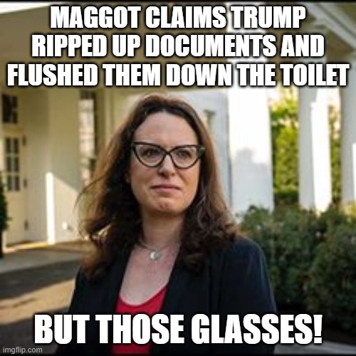 The Epitome Of Trump Derangement Syndrome |  MAGGOT CLAIMS TRUMP RIPPED UP DOCUMENTS AND FLUSHED THEM DOWN THE TOILET; BUT THOSE GLASSES! | image tagged in donald trump,maggie haberman,fake news,new york times | made w/ Imgflip meme maker