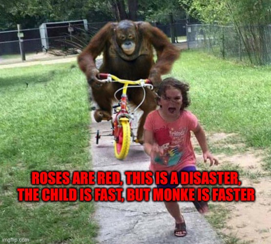 Monke | ROSES ARE RED, THIS IS A DISASTER, THE CHILD IS FAST, BUT MONKE IS FASTER | image tagged in run | made w/ Imgflip meme maker