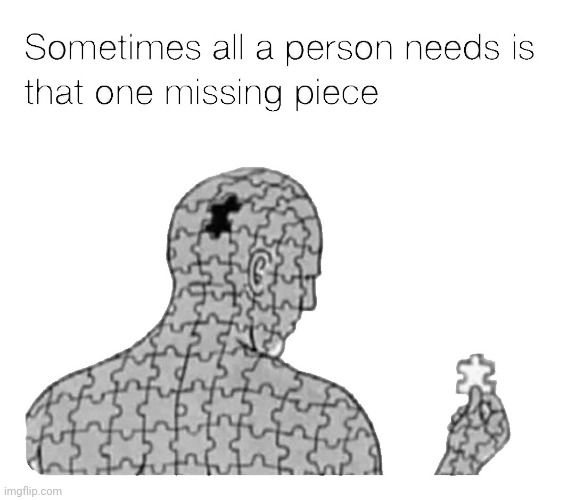 That One Missing Piece | image tagged in that one missing piece | made w/ Imgflip meme maker