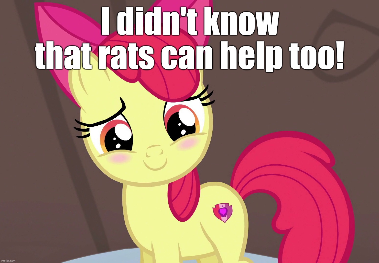 Cute Applebloom (MLP) | I didn't know that rats can help too! | image tagged in cute applebloom mlp | made w/ Imgflip meme maker