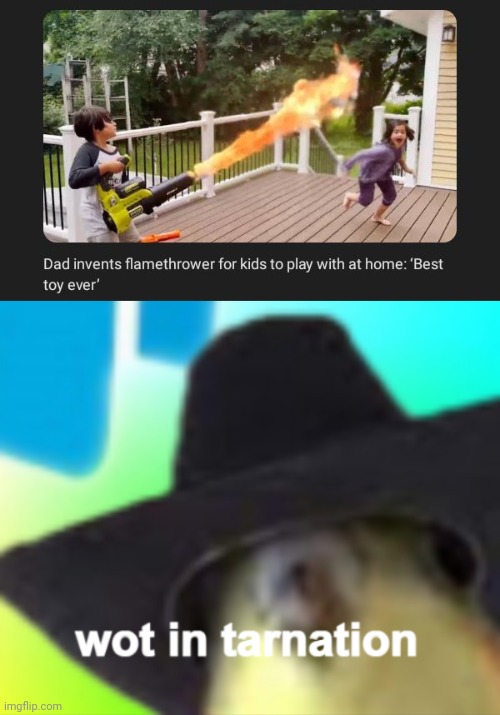 Flamethrower | image tagged in cockatiel wot in tarnation,memes,meme,flamethrower,news,kids | made w/ Imgflip meme maker