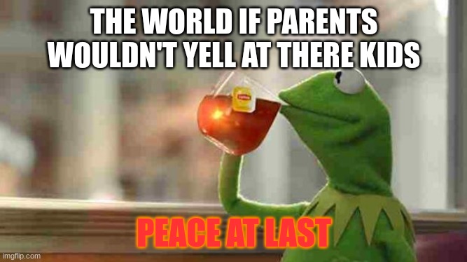 Kermit sipping tea | THE WORLD IF PARENTS WOULDN'T YELL AT THERE KIDS; PEACE AT LAST | image tagged in kermit sipping tea | made w/ Imgflip meme maker