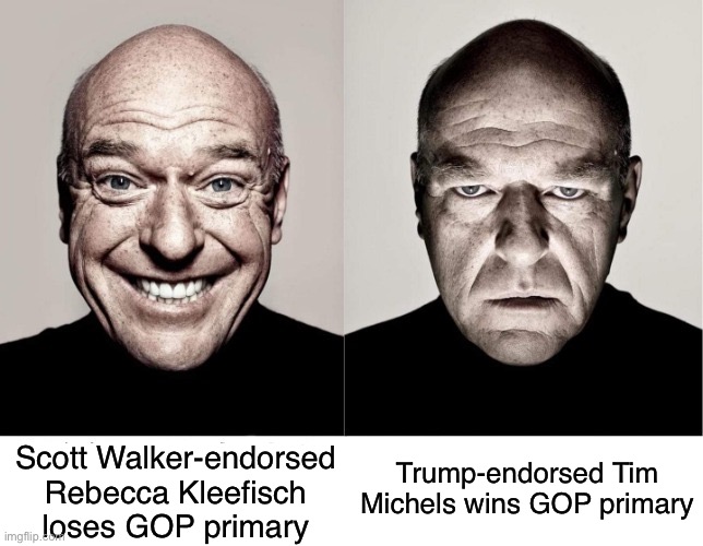 Not sure if there’s actually anything to celebrate here. | Trump-endorsed Tim Michels wins GOP primary; Scott Walker-endorsed Rebecca Kleefisch loses GOP primary | image tagged in breaking bad smile frown,scott walker,wisconsin,election,trump,maga | made w/ Imgflip meme maker